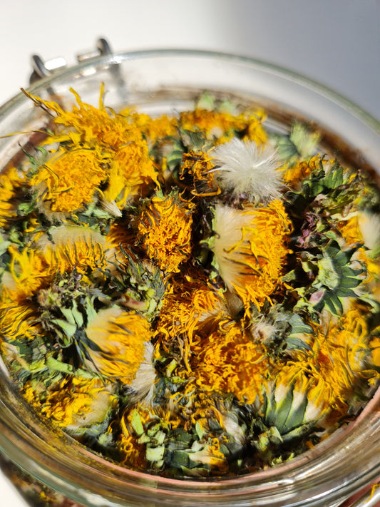 Dried-dandelion-flowers-grown-without-chemicals